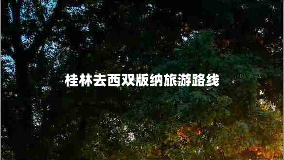 桂林去西雙版納旅游路線