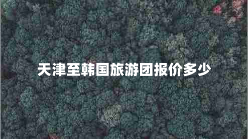 天津至韓國旅游團(tuán)報(bào)價(jià)多少