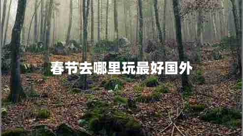 春節(jié)去哪里玩最好國(guó)外
