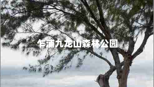 乍浦九龍山森林公園