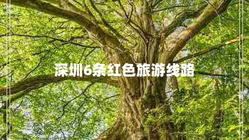 深圳6條紅色旅游線(xiàn)路