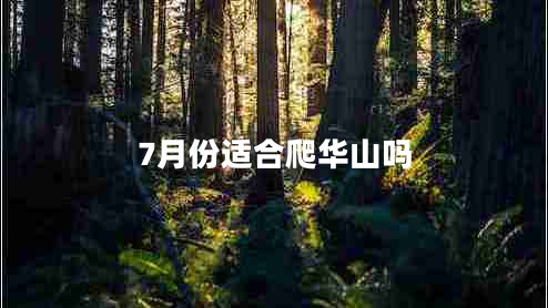 7月份適合爬華山嗎 7月份適合爬華山嗎