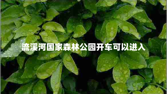 流溪河國家森林公園開車可以進(jìn)入