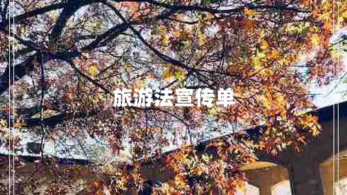 旅游法宣傳單