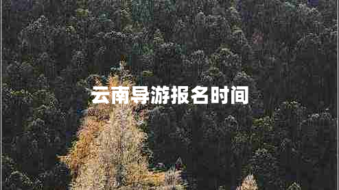 云南導游報名時(shí)間