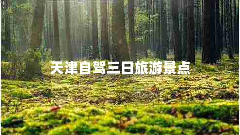 天津自駕三日旅游景點