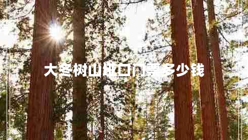 大冬樹山埡口門票多少錢