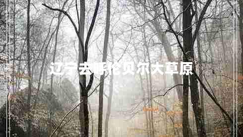 遼寧去呼倫貝爾大草原