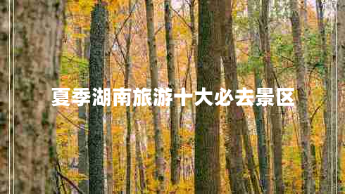 夏季湖南旅游十大必去景區