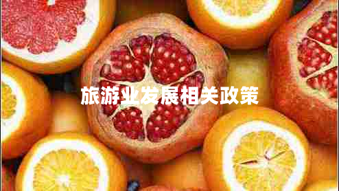 旅游業(yè)發(fā)展相關政策
