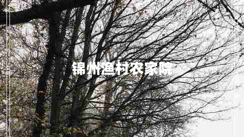 錦州漁村農家院