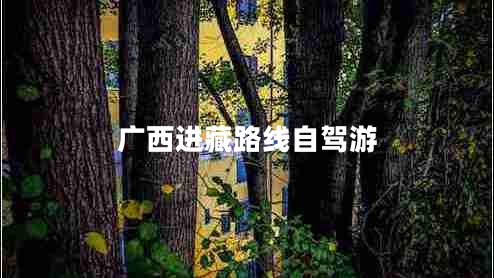 廣西進(jìn)藏路線(xiàn)自駕游