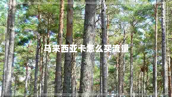 馬來(lái)西亞卡怎么買(mǎi)流量