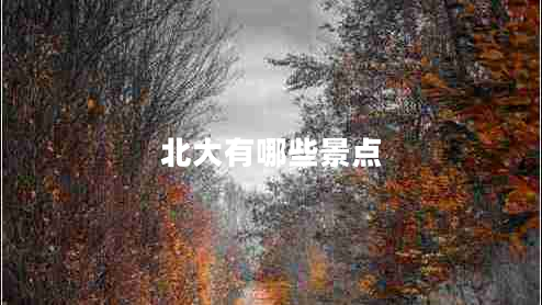 北大有哪些景點