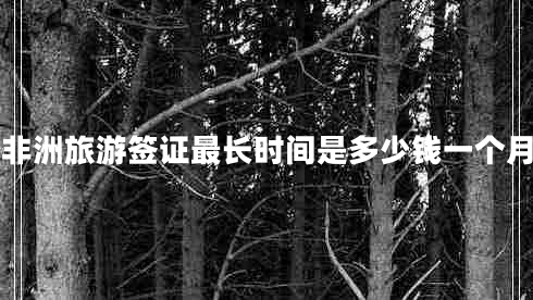 非洲旅游簽證最長(cháng)時(shí)間是多少錢(qián)一個(gè)月