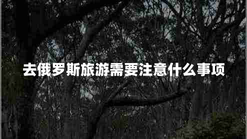 去俄羅斯旅游需要注意什么事項