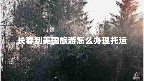 長(zhǎng)春到美國(guó)旅游怎么辦理托運(yùn)