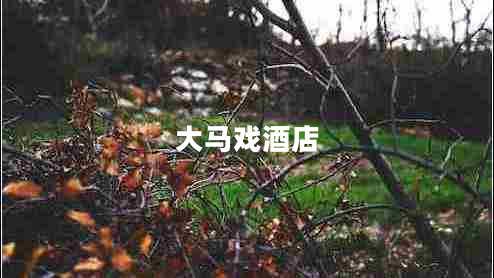 大馬戲酒店