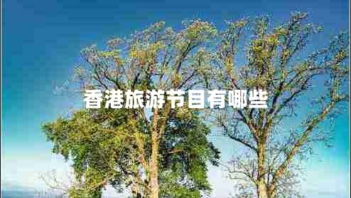 香港旅游節目有哪些