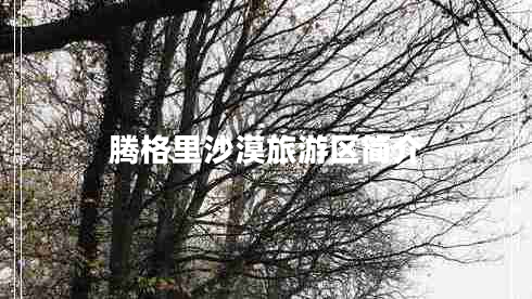 騰格里沙漠旅游區(qū)簡介
