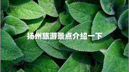 揚州旅游景點介紹一下