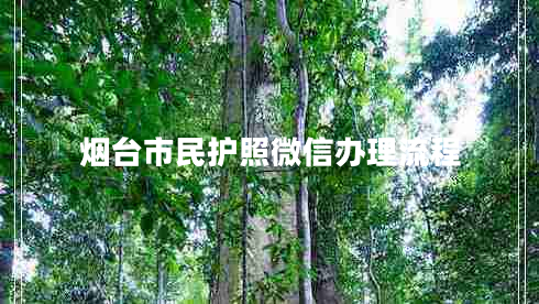 煙臺(tái)市民護(hù)照微信辦理流程