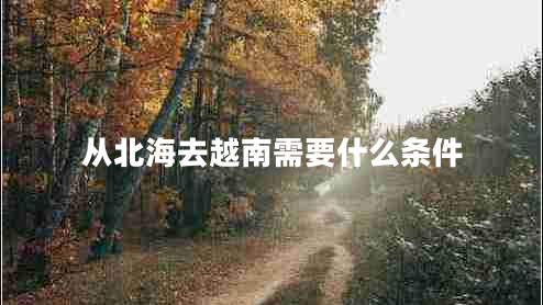 從北海去越南需要什么條件
