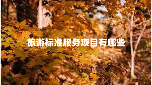 旅游標準服務項目有哪些