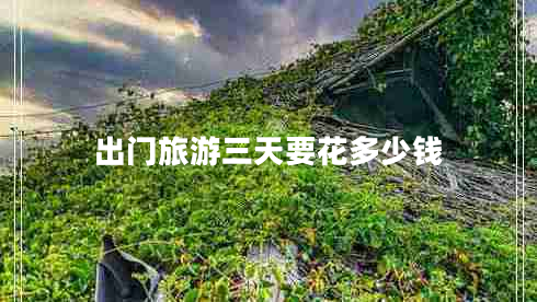 出門旅游三天要花多少錢