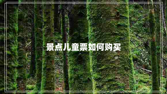 景點(diǎn)兒童票如何購買