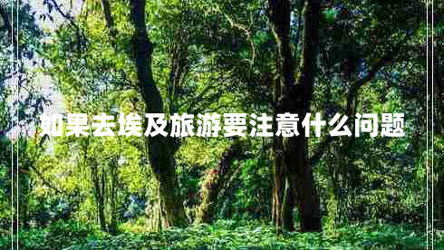 如果去埃及旅游要注意什么問題