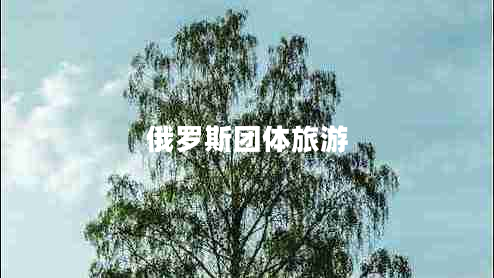 俄羅斯團(tuán)體旅游