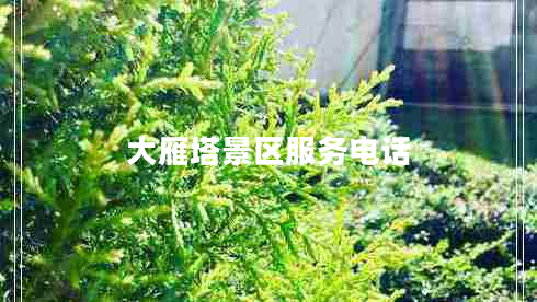 大雁塔景區(qū)服務(wù)電話