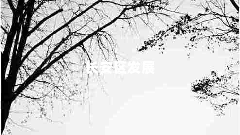 長安區(qū)發(fā)展