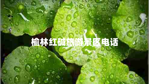 榆林紅堿旅游景區電話(huà)
