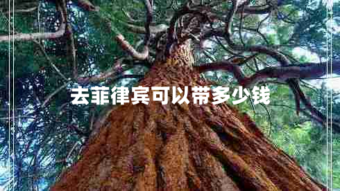 去菲律賓可以帶多少錢(qián)