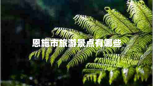 恩施市旅游景點(diǎn)有哪些