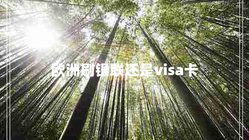歐洲刷銀聯(lián)還是visa卡