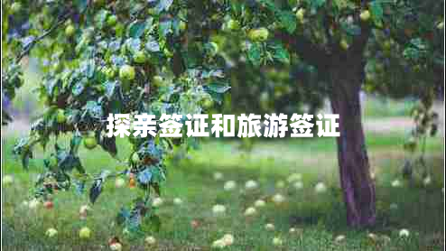 探親簽證和旅游簽證
