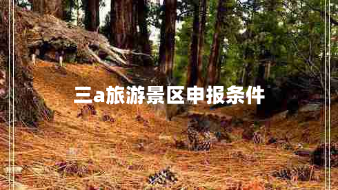 三a旅游景區(qū)申報(bào)條件
