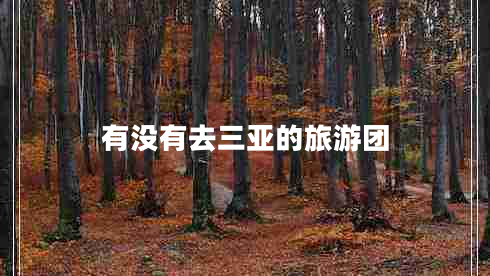 有沒(méi)有去三亞的旅游團(tuán)
