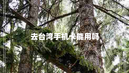 去臺灣手機卡能用嗎