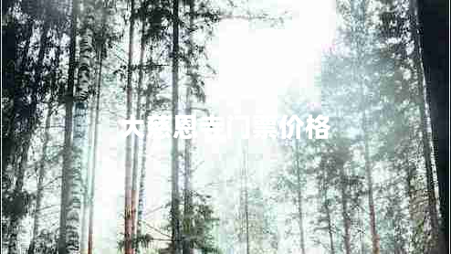 大慈恩寺門票價格