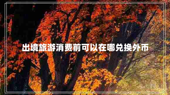 出境旅游消費前可以在哪兌換外幣