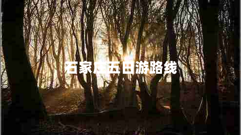 石家莊五日游路線(xiàn)