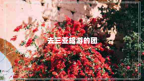 去三亞旅游的團