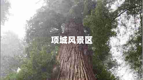 項城風(fēng)景區