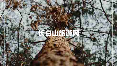 長(cháng)白山旅游網(wǎng)