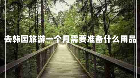 去韓國旅游一個(gè)月需要準備什么用品