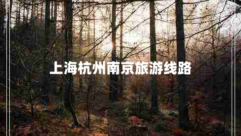 上海杭州南京旅游線(xiàn)路